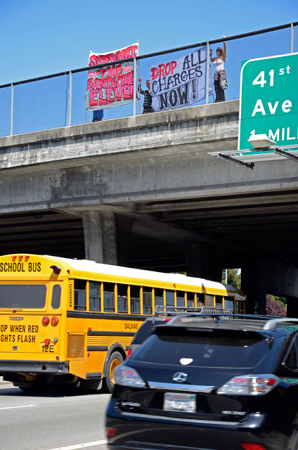 santa-cruz-eleven-banners-may-18-2012-3
