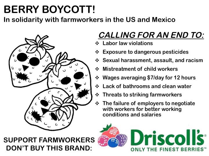 A flyer asks shoppers to boycott Driscoll's in solidarity with farmworkers in the US and Mexico.