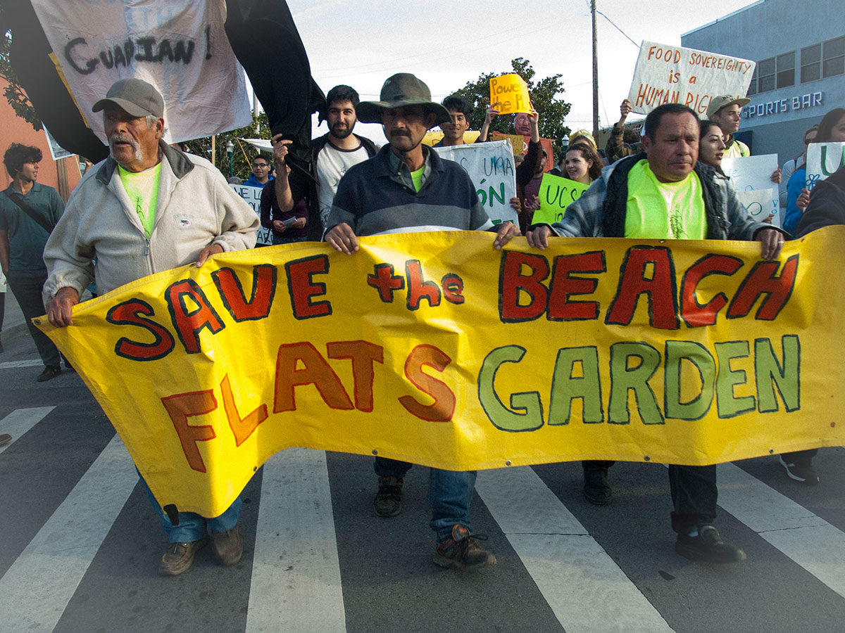 Beach Flats Gardeners Demand Council Keep Their Promise Beach Flats Gardeners Demand City Council Keep Their Promise The Of Santa Cruz