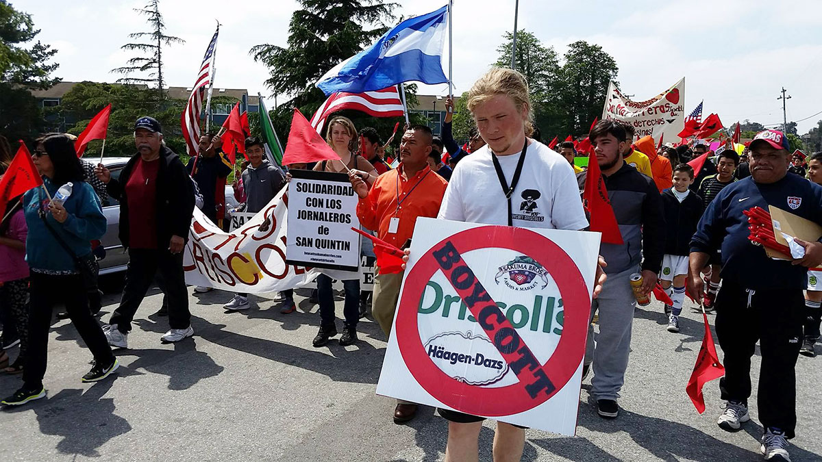 Familias Unidas por la Justicia boycott coordinator Andrew Eckels holds a Boycott Driscoll's sign in the annual Cesar Chavez March in Salinas, California. April 3, 2016. Photo by Michal Garcia.