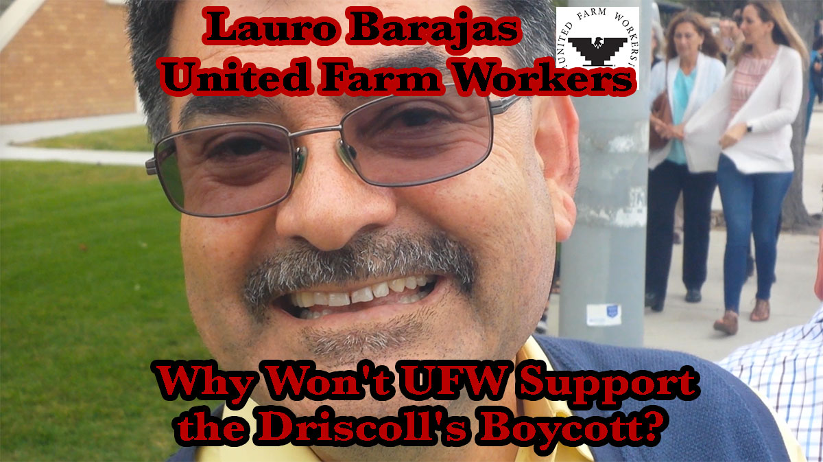 Lauro Barajas, Vice President of the United Farm Workers, was asked why the UFW will not support the Driscoll's Boycott. Barajas refused to answer. Salinas, California. May 25, 2016.