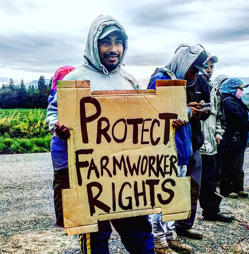 Photo by Xolotl Edgar Franx. June 9, 2016. "Queremos sueldos justos y mejorar las condiciones del trabajo, no nomas para nosotros pero para todos los que trabajan estos campos." Translation: "We want fair wages and better conditions not only for us but for everybody working these fields." -Benito Lopez, Familas Unidas por la Justicia.