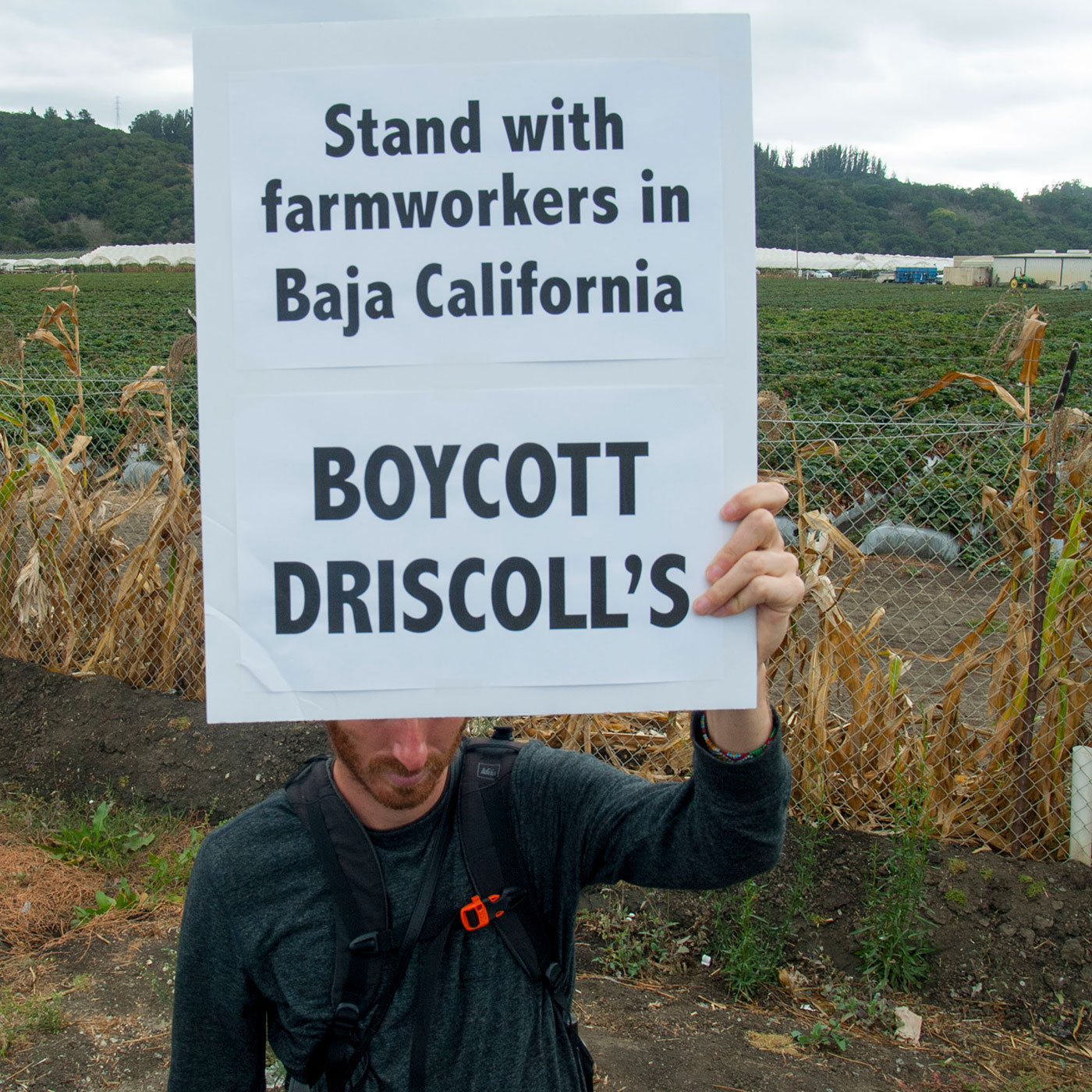 A demonstrator holds a sign stating, "Stand with farmworkers in Baja California. Boycott Driscoll's" in front of the Driscoll's Distribution Center in Aromas, California on October 15, 2016.