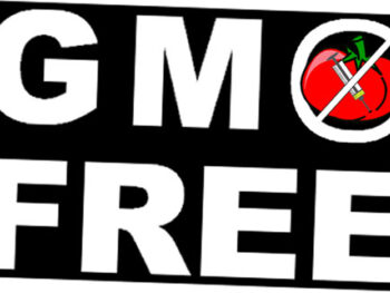 GMO Free